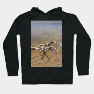 Driftwood Hoodie